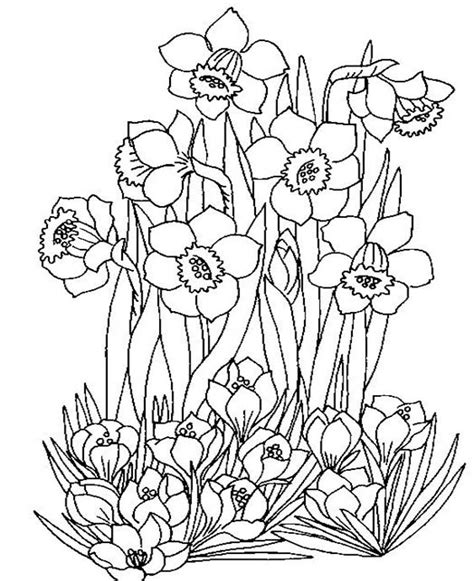 easy  print spring coloring pages tulamama