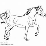 Arabian Coloring Pages Horse Stallion Trotting Color Index Kids Own sketch template