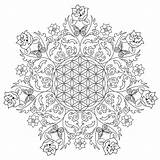 Coloring Pages Flower Mandala Adults Printable Flowers Colouring Kids Adult Rose Life Detailed Sheets Rocks Color Print Complex Books Girls sketch template