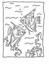 Kolorowanki Rybki Dzieci Coloringhome Fishes Bestcoloringpagesforkids sketch template
