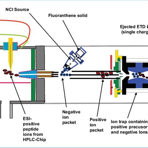 diagram   agilent  ion trap mass spectrometer  etd module  scientific