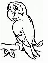 Loros Parrots Pet Anipedia Resultado Pajaros Kleurplaten Niños Vogelweetjes Clipartmag Kleurplaat Coloringbay Colornimbus sketch template