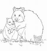 Quokka Baby Mom Coloring Pages Colouring Printable Quoll Supercoloring Categories sketch template