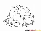 Herbst Ausmalbilder Ernte Malvorlagen Harvest Malvorlage Bauernhof Ausdrucken Malvorlagenkostenlos Obst Aus Herbstliche Vorlagen Titel sketch template