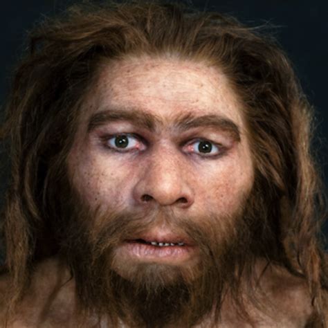 Neanderthal Y Chromosome May Have Caused Fertility