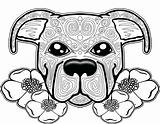 Coloring Pages Dog Pitbull Mandala Adults Adult Puppy Colouring Printable Color Sugar Skull Pit Bull Sheets Para Books Coloriage Cute sketch template
