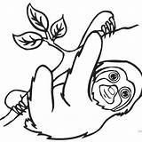 Sloth Toed Brach Tree Line sketch template