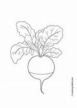 Radis Radish Legumes 4kids Groente Colorier sketch template