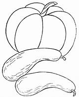 Warzywa Owoce Kolorowanki Squash Manzanas Druku Apples Darmowe Legumbres sketch template