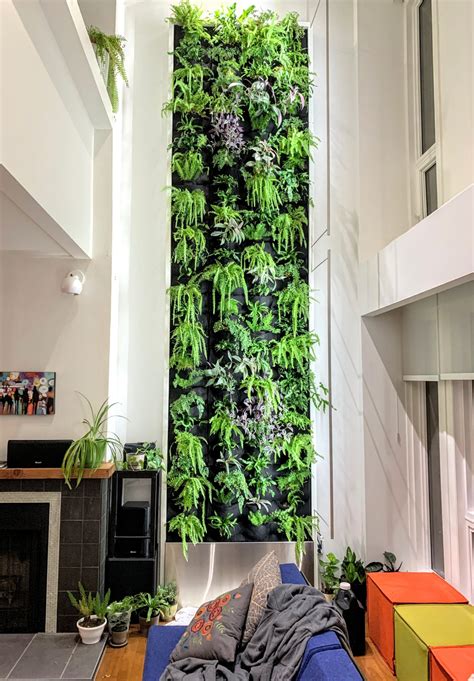 interior plant design style  living walls edmonton plants  walls