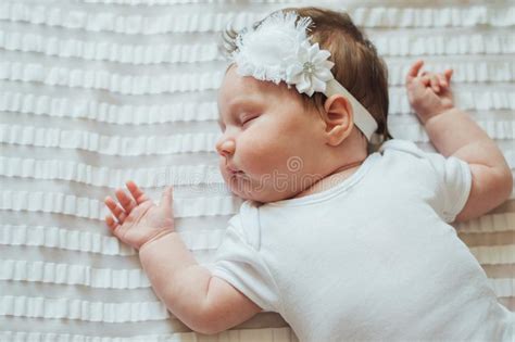 216 sleeping hairy newborn photos free and royalty free