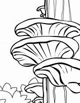 Coloring Mushroom Pages Cartoon Mushrooms Printable Color Tree Adult Print Getcolorings sketch template