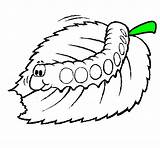 Lagarta Oruga Bruco Colorir Comiendo Caterpillar Chenille Mastica Desenhos Coloriage Mange Orugas Menjant Eruga Animaux Acolore Leaves Worms Iluminar Dibuix sketch template