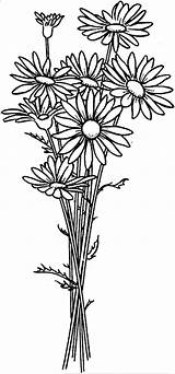 Bouquet Colornimbus sketch template