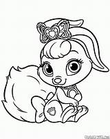 Animali Conejito Cuccioli Lapin Principesse Kolorowanki Kolorowanka Reali Principessa Pets Colorkid Mascotas sketch template