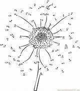 Dot Dots Connect Flower Sunflower Sun Coloring Flowers Kids Color Pages Worksheet Pdf Printable Print Coloringhome Worksheets Numbers Popular sketch template