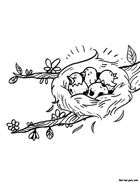 bird nest coloring page coloring pages