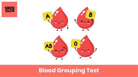 blood grouping purpose normal range  results mg