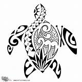 Hawaiian Maori Polynesian Samoan Tortugas Tartaruga Tatuagens Pés Bebês Tortuga Polinesios Pluspng Tattootribes Tattoosaandmore Sélection sketch template