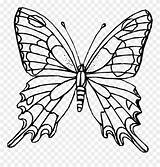 Schmetterling Butterfly Papillon Schmetterlinge Mit Ausmalbild Pinclipart 1021 Cool2bkids Verwandt Kinderbilder Bestof Mariposas sketch template