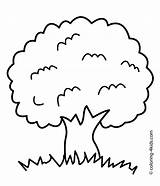 Tree Coloring Pages Kids Roots Clipart Simple Apple Family Color Printable Birthday Children Template Nature Leafless Clipartbest Spring Club Print sketch template