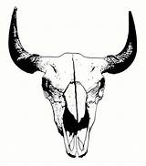 Skull Buffalo Drawing Drawings Bull Outline Sketch Bison Tattoo Clipart Skulls Coloring Clip Digital Skul Designs Choose Board Paintingvalley Template sketch template
