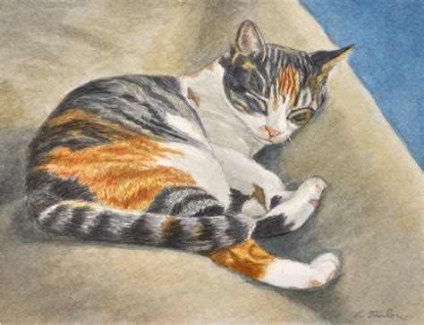 calico cat art print calico tabby cat watercolor orange etsy