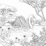 Coloring Swan Pages Adult Family Swans Bird Printable Animal Print Colouring Book Coloringbay Color Drawing Choose Board sketch template