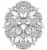 Blume Designlooter Flor цветок Blomma sketch template