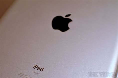 percent  survey respondents  ipad design  apple  expert  verge