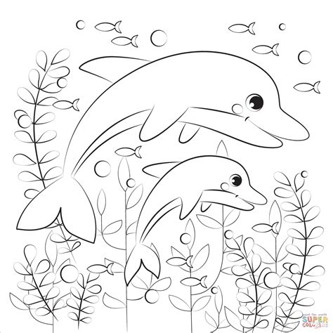 dolphin coloring page  printable coloring pages