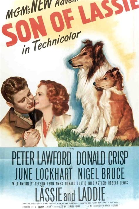 son of lassie 1945 — the movie database tmdb