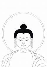 Shakyamuni Mayurasana sketch template