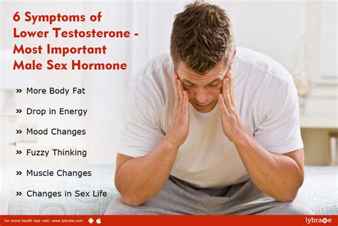 6 Symptoms Of Lower Testosterone Most Important Male Sex Hormone By