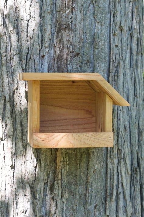 american robin cedar bird house bird house cool bird houses bird houses diy