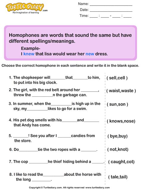 finding homophones in the sentences worksheet turtle diary