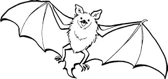 vampire bat color page google search animal coloring pages