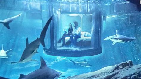 underwater bedroom lets you sleep with sharks cnn video