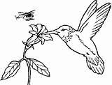 Coloring Pages Gif Photobucket S459 Flower Bird sketch template
