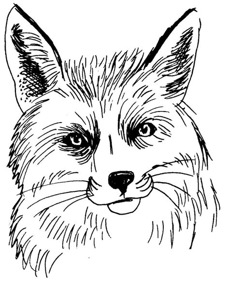 fox  animals  printable coloring pages