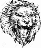 Lion Head Drawing Getdrawings sketch template
