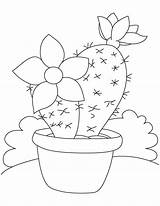 Cactus Coloring Pages Flower Bordar Dibujos Para sketch template