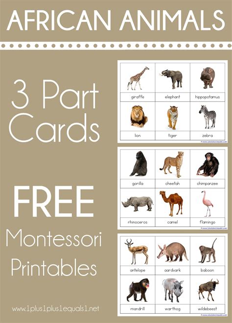 montessori matching cards printable