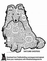 Shetland Sheepdog Sheltie sketch template