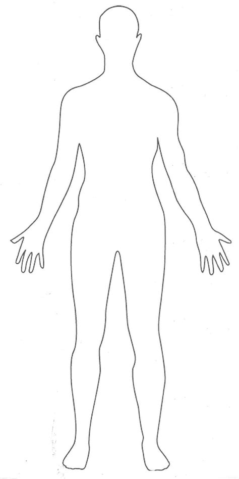 outline  human body human body drawing body template person outline