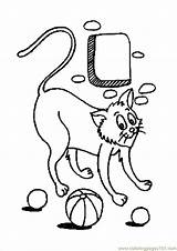 Coloring Pages Template Scat Cat sketch template