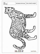 Jaguar Printable Coloring Pages Preschool Kid Crafts sketch template