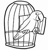 Coloring Pages Cage Bird Birds Kids Printable Cartoon Sheets sketch template
