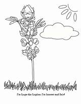 Coloring Girl Scout Daisy Lupe Petal Lupine Honest Fair Scouts Daisies Pages Activities Troop Blue Mom Petals Crafts 1242 Brownies sketch template
