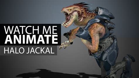 animation timelapse halo jackal death youtube